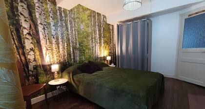 Medieval house in Berry with private courtyard and all-inclusive