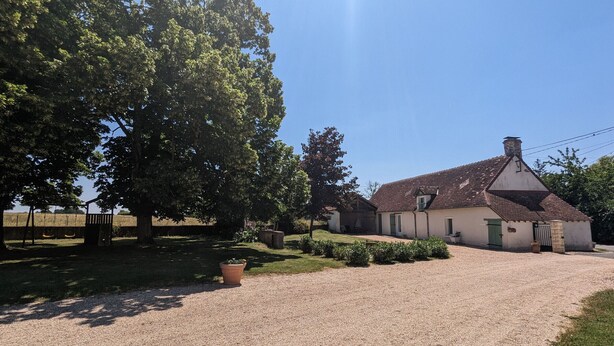 A house with a gravel driveway, a large tree, and a swing set in the yard.