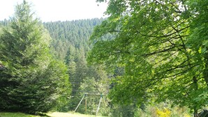 Un'area verdeggiante con altalene e un'amaca.