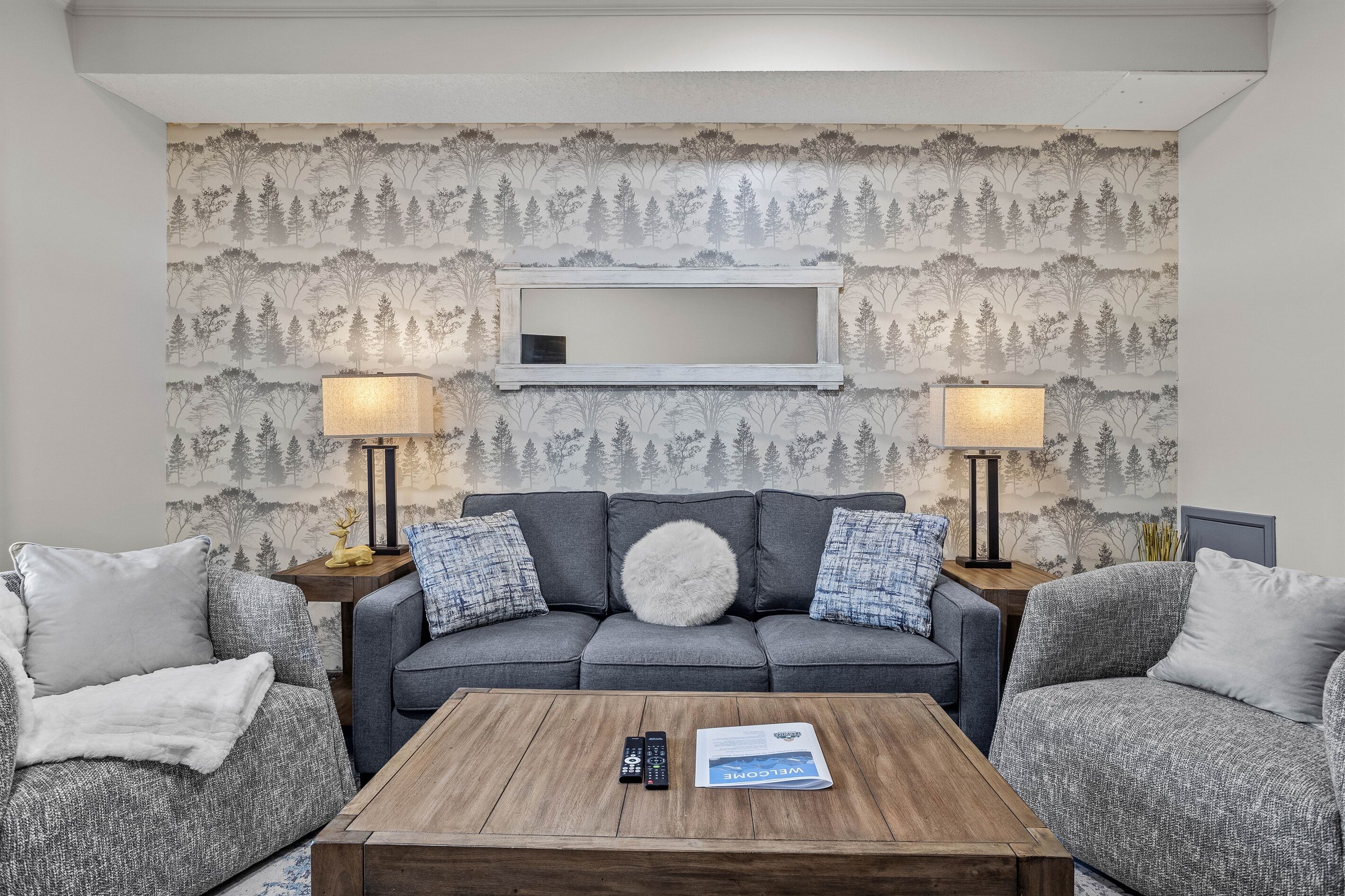 TV, fireplace, video games, DVD player