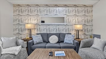 TV, fireplace, video games, DVD player