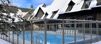 Cedar Ridge Chalet - Pool & Hot tub - Pet Friendly