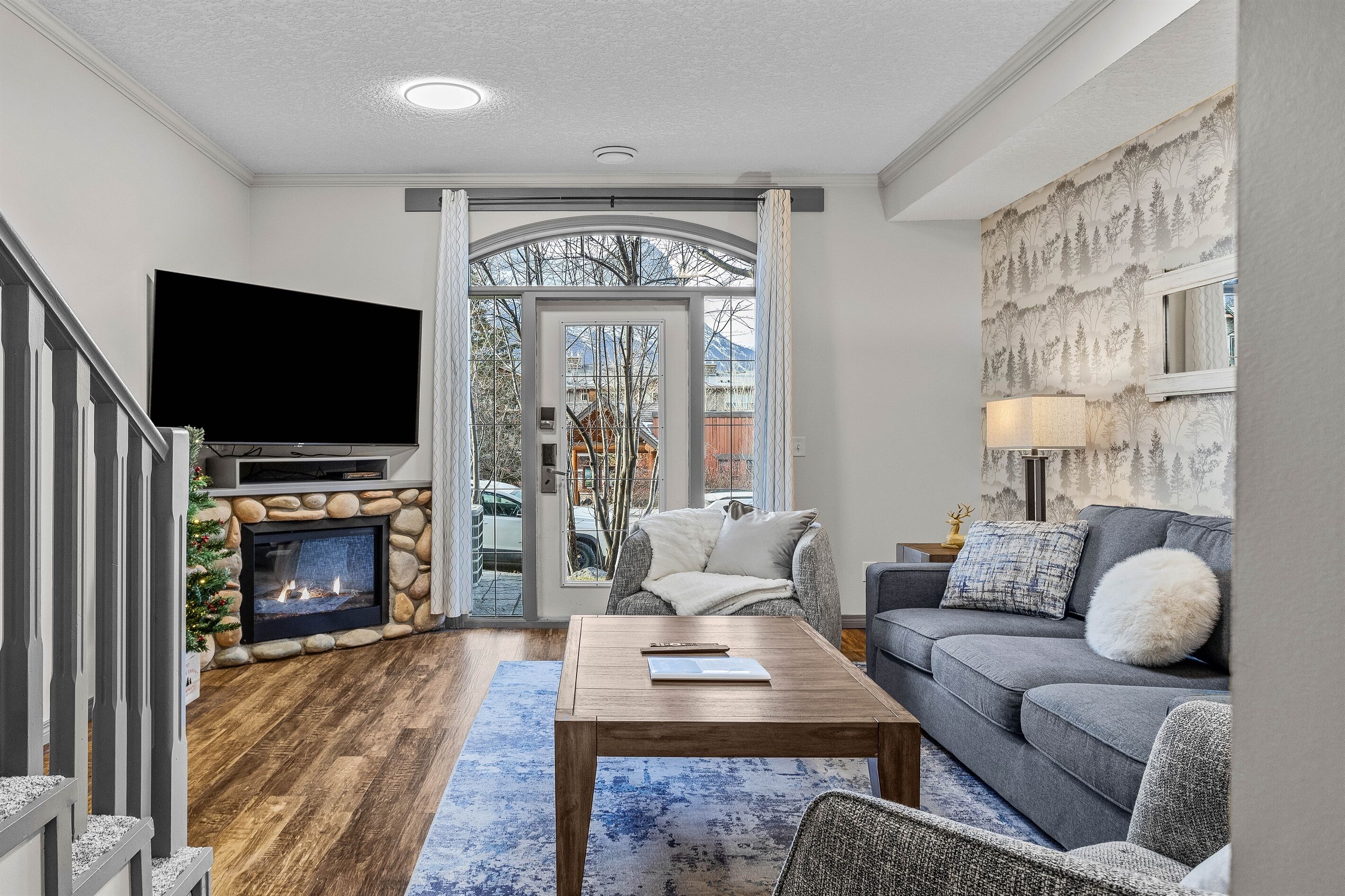 TV, fireplace, video games, DVD player