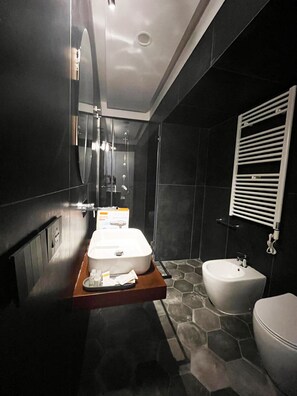 Shower, hair dryer, bidet, towels