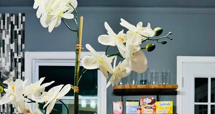 Cozy 3-bedroom house in fabulous Decatur , AC, WiFi