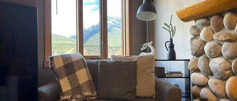 Smart TV, fireplace, books, stereo