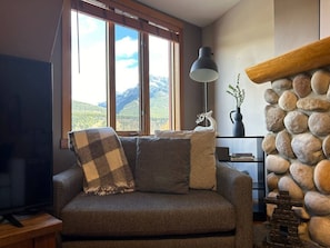 Smart TV, fireplace, books, stereo