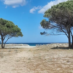 On the beach, white sand, sun-loungers, beach umbrellas