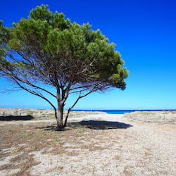 Sulla spiaggia, sabbia bianca, lettini da mare, ombrelloni