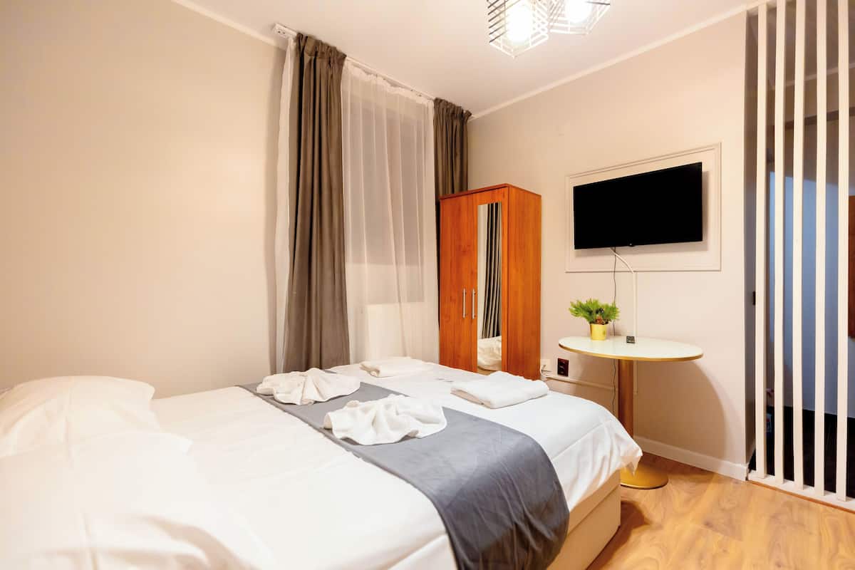 A hotel room with a bed, a TV, a small table with a plant, and a wardrobe.