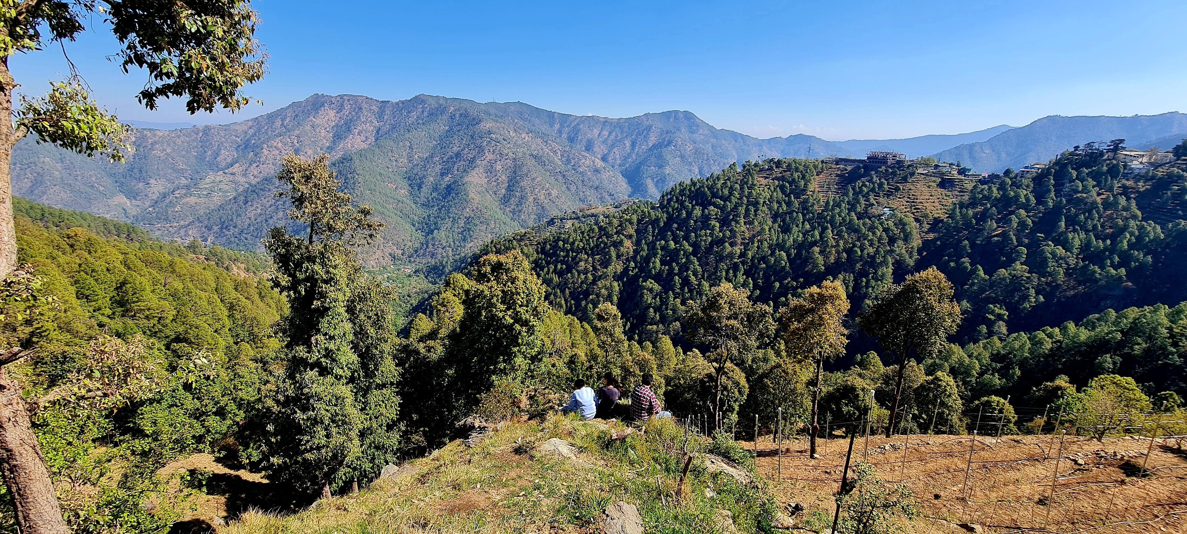 A mountainous landscape with dense forests and a clear sky.