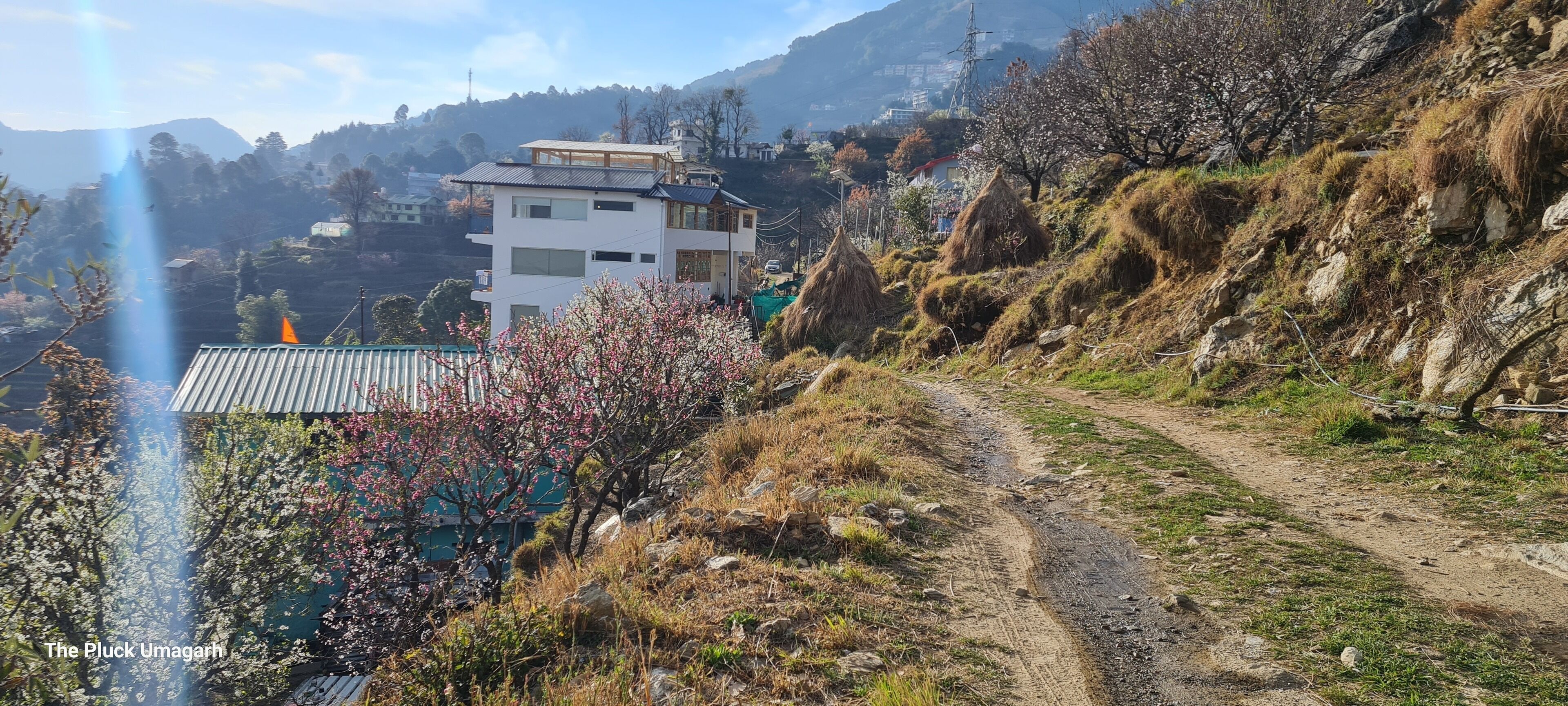 住宿正面