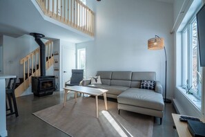 Télévision, cheminée, chaîne hi-fi