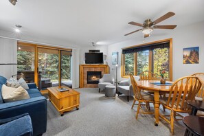 TV, lareira, DVD player