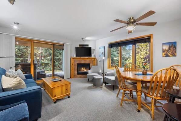 TV, fireplace, DVD player