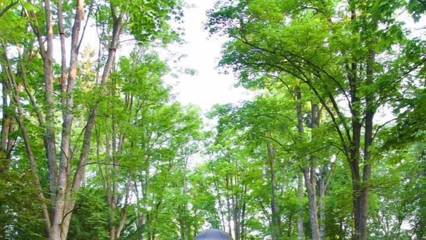 Un sendero de jardín con un pabellón, rodeado de coloridas parterres y altos árboles.