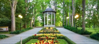 Apartamenty Dębowa 3