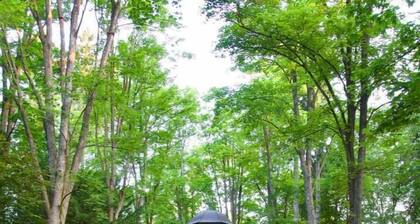 Apartamenty Dębowa 3