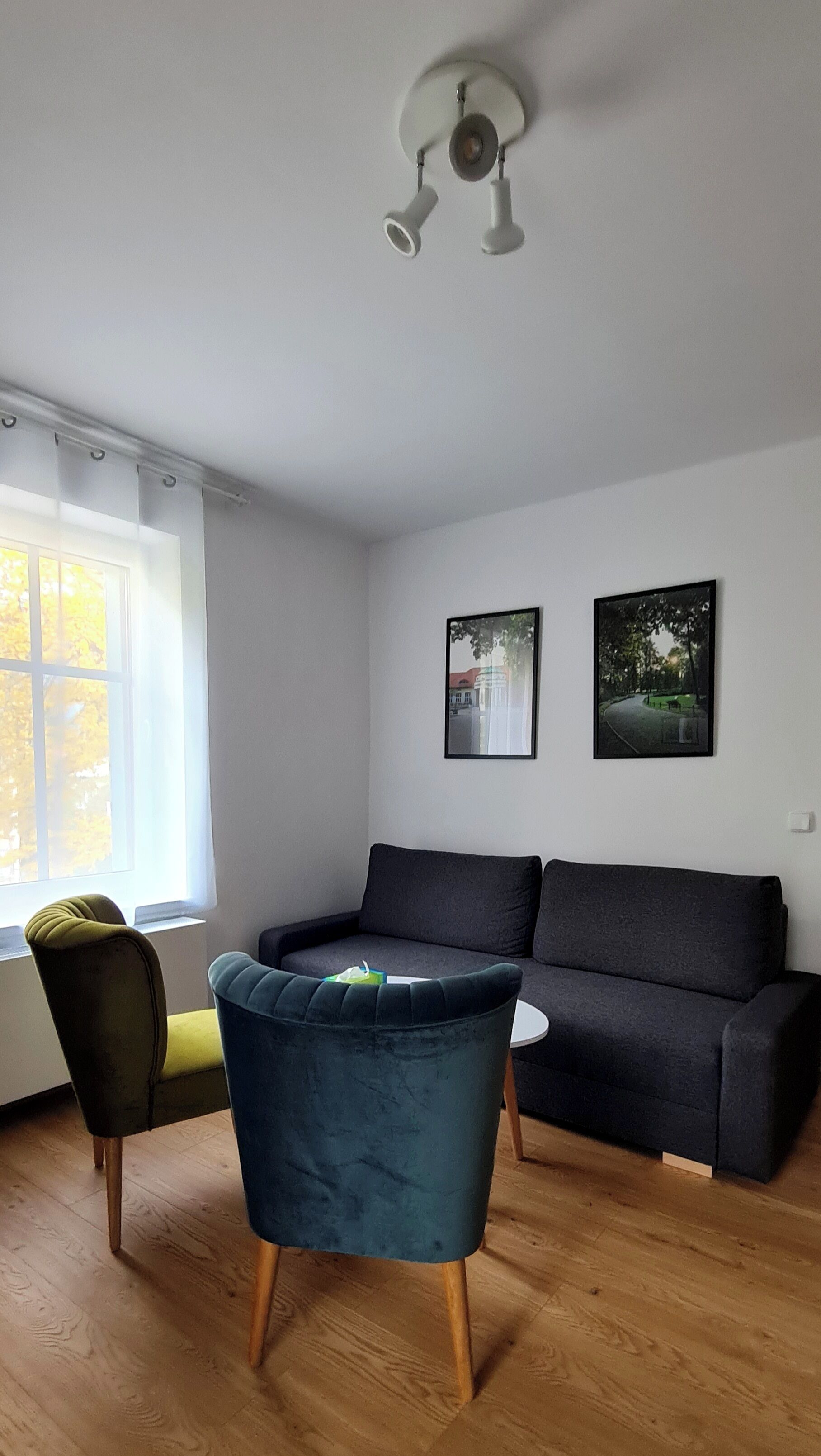 Una sala de estar con un sofá gris oscuro, un sillón azul y una mesita redonda. Hay dos cuadros enmarcados en la pared, una ventana con cortinas y una lámpara en el techo.