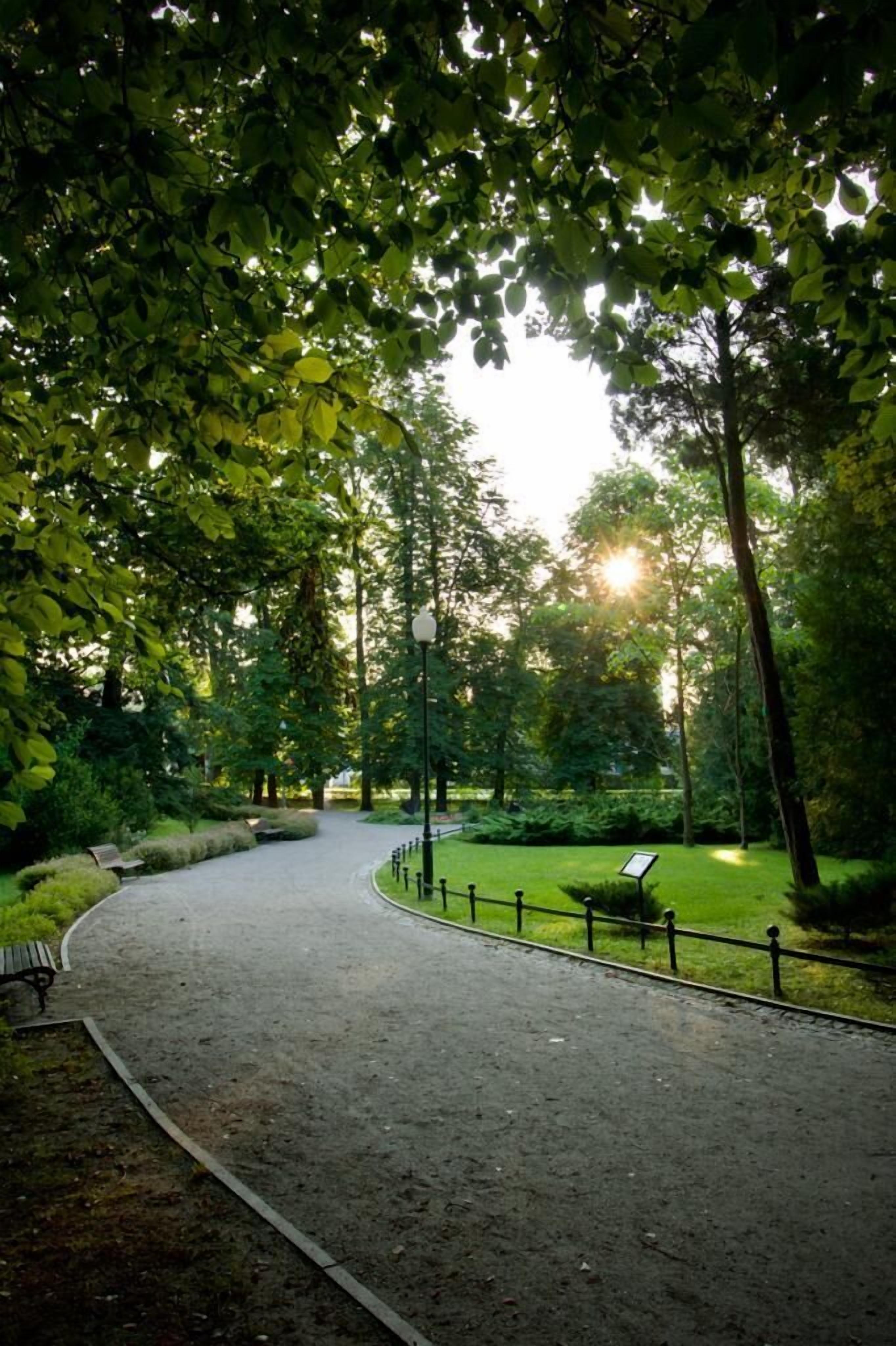 A paved pathway in a park with benches and a signpost.