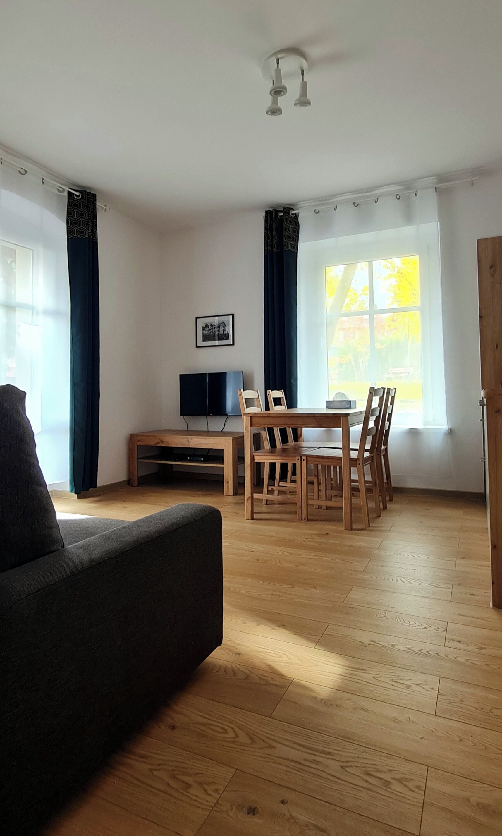 A room with a wooden dining table, chairs, a television, and a sofa.