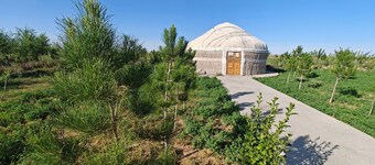 Nomad Island Bukhara