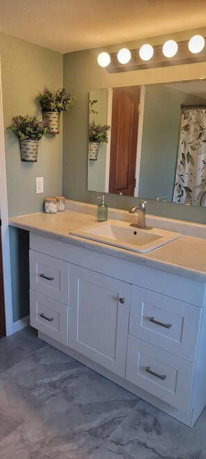 A bathroom with a white vanity, a mirror, and a sink. There are plants in wall-mounted baskets and a shower curtain with a floral pattern. - Family friendly farmhouse near Cascade with AC- Enjoy a peaceful retreat!  (Cascade)