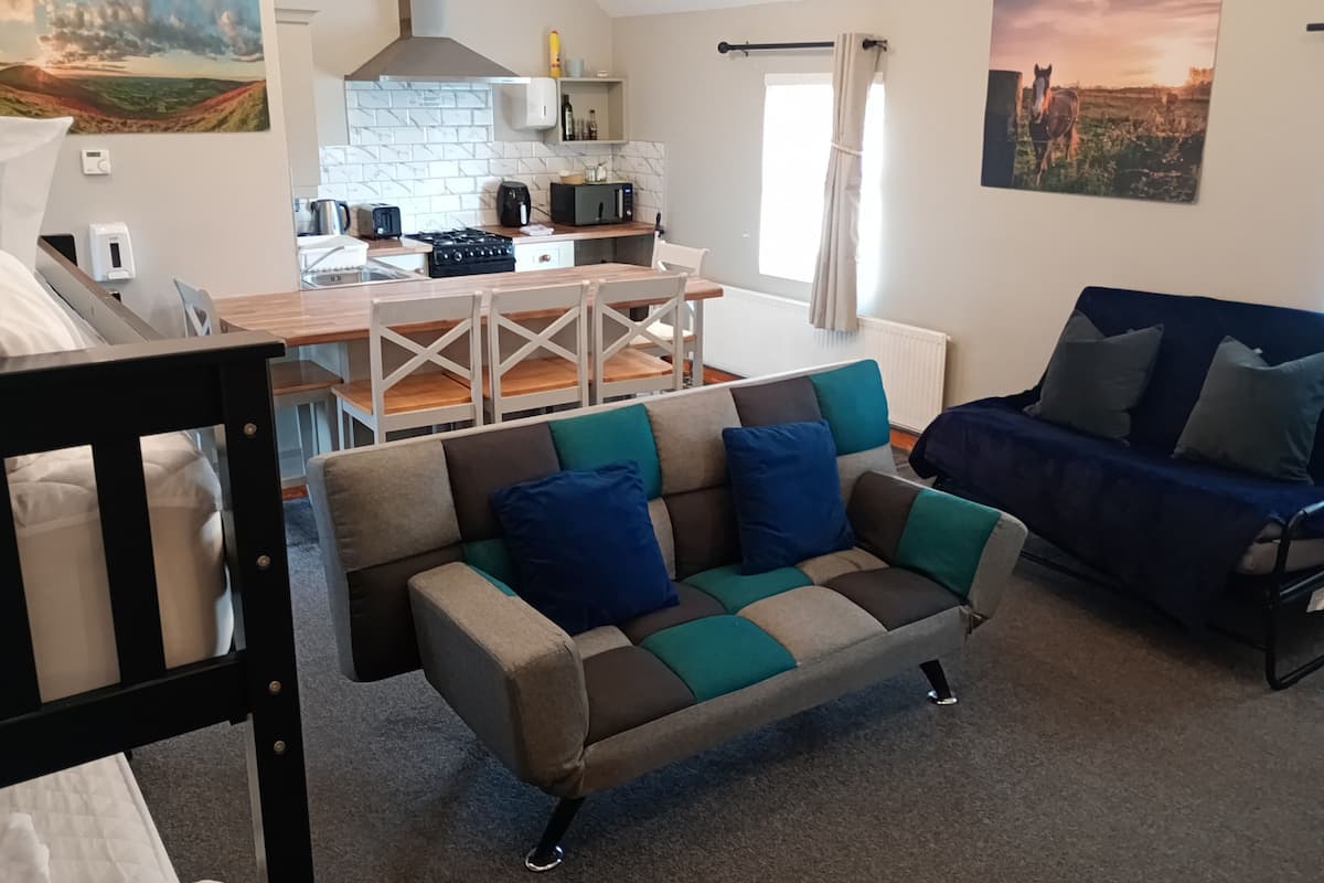 Premium bedding, individually decorated, individually furnished, desk