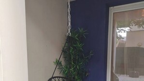 Un coin de pièce avec un fauteuil suspendu, une plante en pot et une porte-fenêtre coulissante.