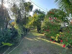 Exterior - Jungle Side Luxury Hotel (Devachuli)