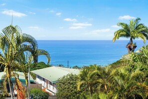 A coastal view with a building featuring a green roof, surrounded by palm trees and a clear blue sky.