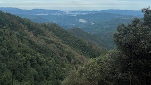 Sınıflandırılmamış resim, 12 üzerinden 4, düğme