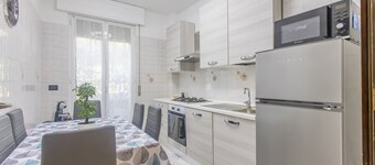 美丽意大利的海松树