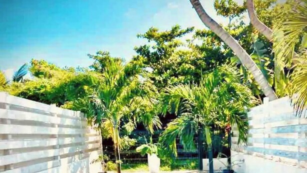 A swimming pool with lounge chairs, surrounded by palm trees and a white fence.