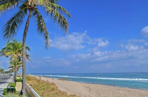 Camastros y toallas de playa 