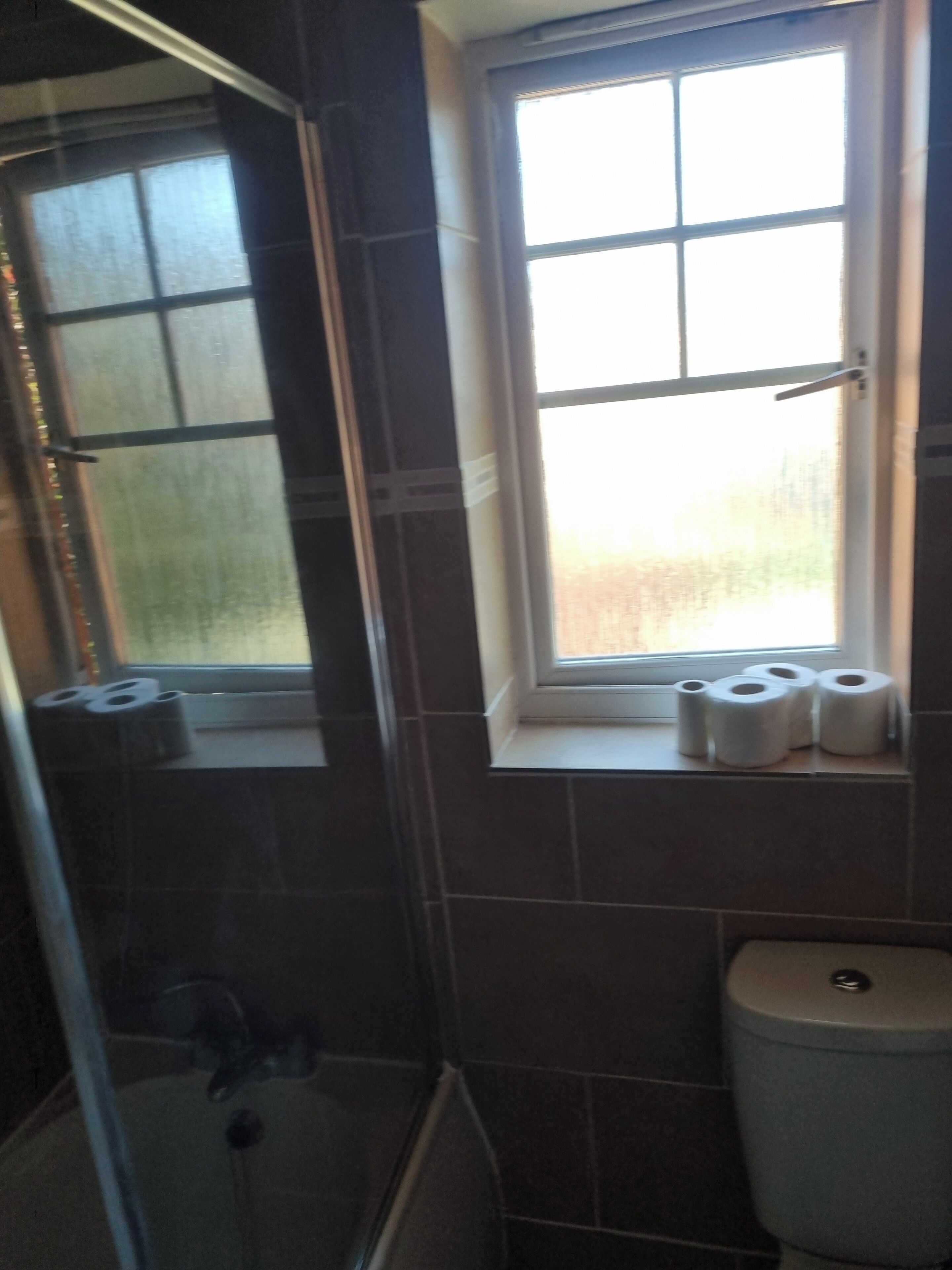A bathroom with a shower, a toilet, and a window with toilet paper.