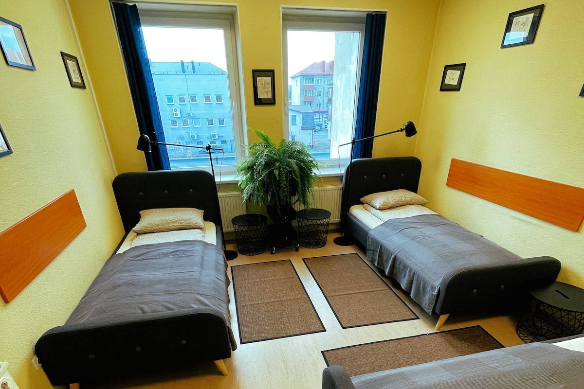A hotel room with two single beds, a small table, a chair, a potted plant, and a view of buildings through the windows.