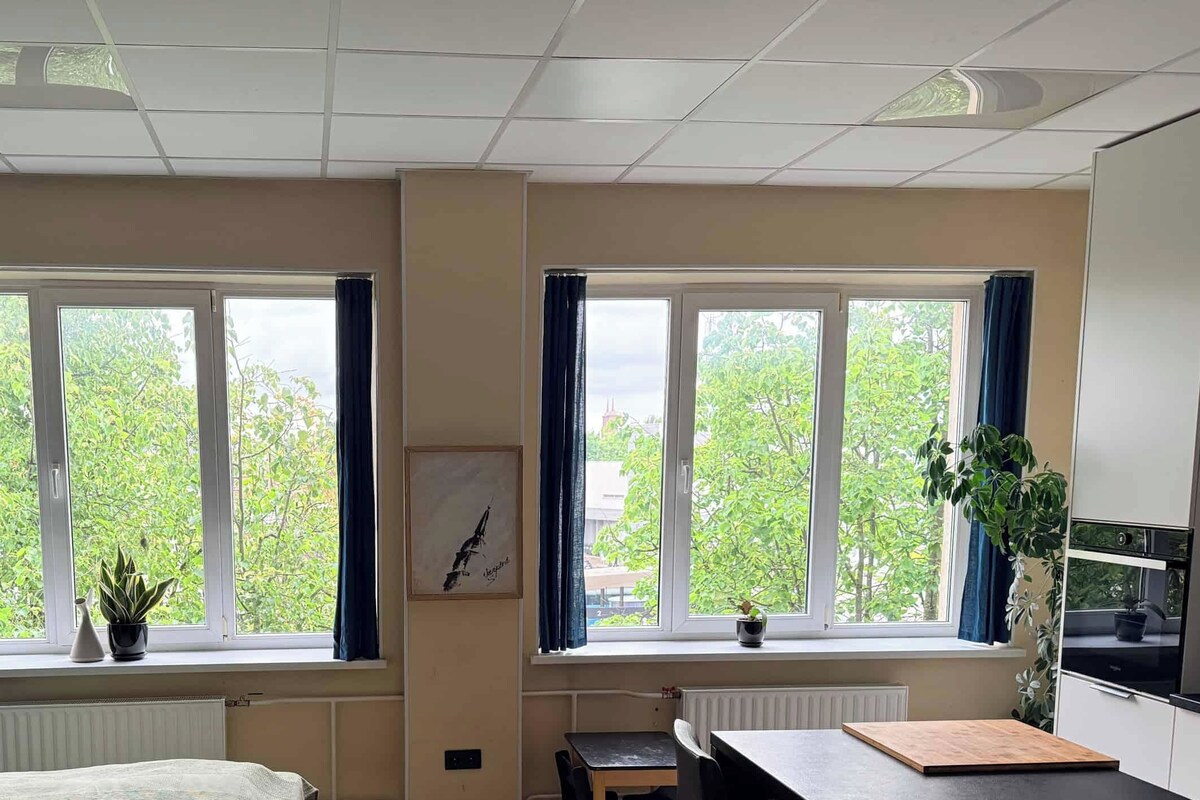 Desk, laptop workspace, WiFi (free), bed sheets