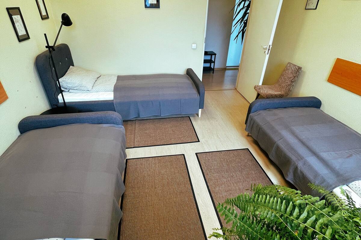 A compact room with a sofa bed, two single beds, a small table, and a potted plant.