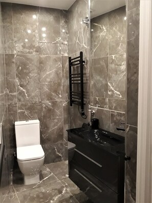 Shower, hair dryer, bidet, towels