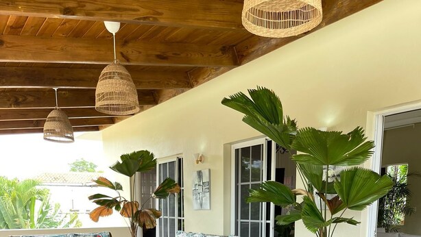 Comedor con mesa de madera y sillas de mimbre, rodeado de ventanas amplias y plantas en macetas.