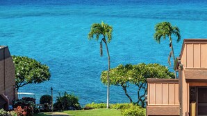 Une vue sur la côte, avec des palmiers et un océan bleu limpide.
