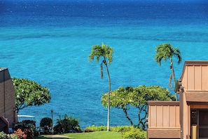 Vista costera con palmeras y un océano azul cristalino.
