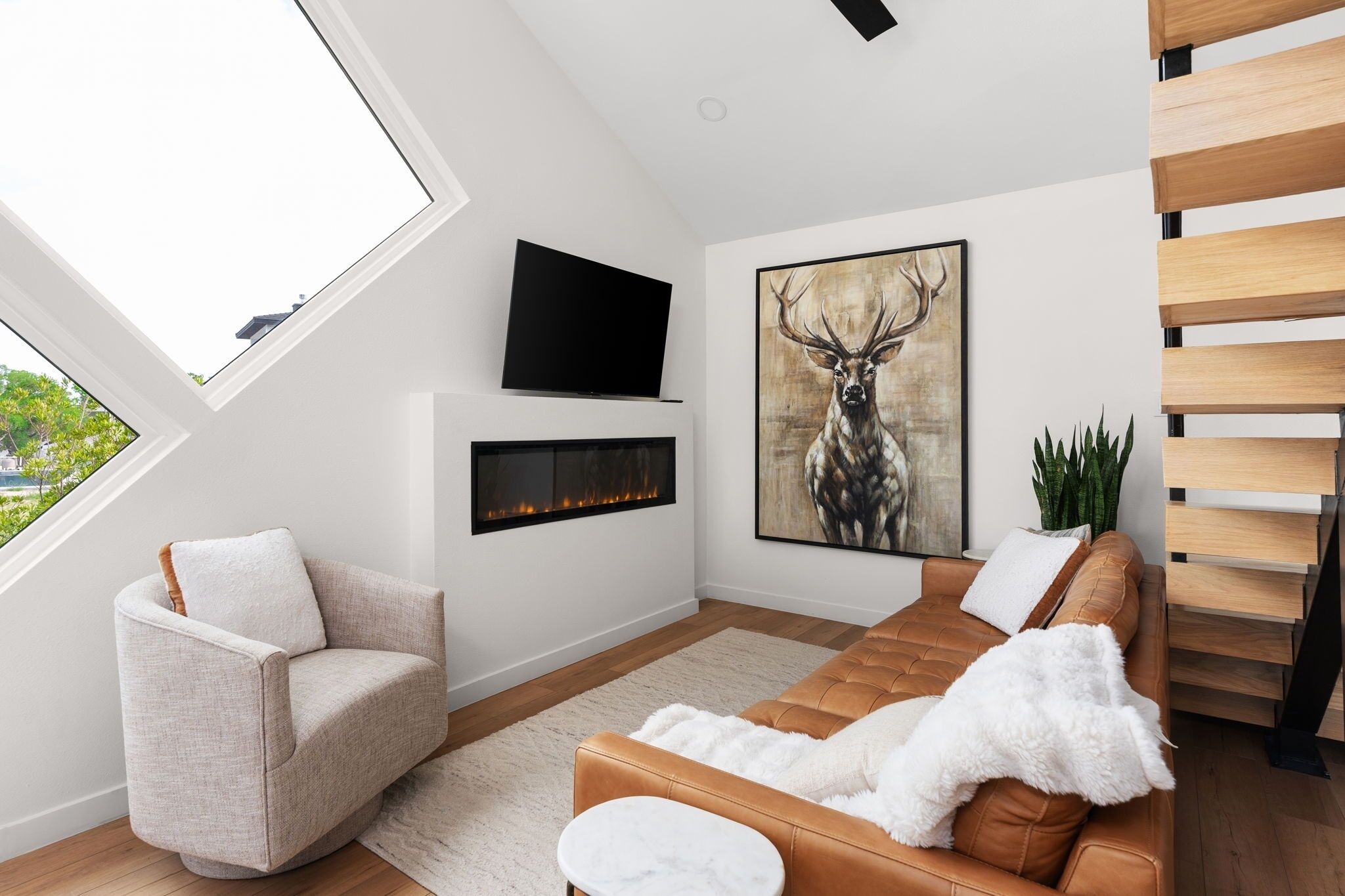 TV, fireplace, video library