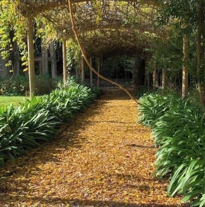 Casa Quinta en Montevideo, Melilla.