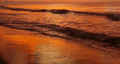 Your Complete House in Chévere Beach: Adventure and Tranquility on the Caribbean Coast