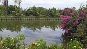A calm water body surrounded by lush greenery and flowering plants. - Deluxe Double Room with Balcony, Lake, River View (Hoi An)