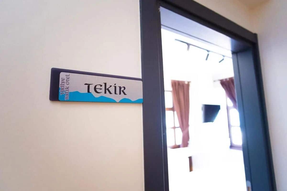 Una señal con la palabra "TEKIR" en una pared.