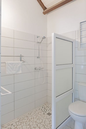 Shower, towels, soap, toilet paper