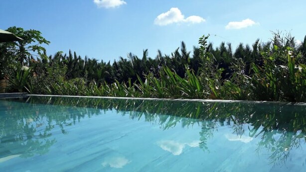 A clear blue pool with a wooden deck, surrounded by lush greenery and palm trees.